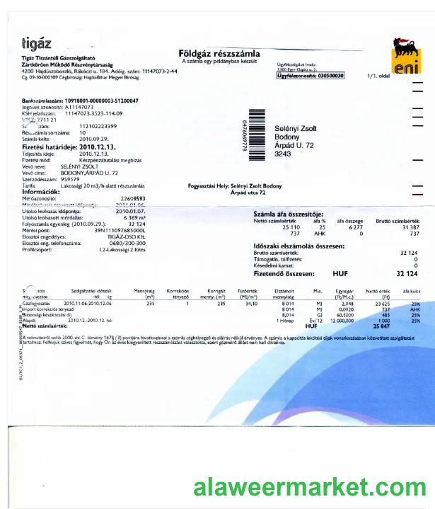 HUNGARY TIGAZ utility bill Word and PDF template